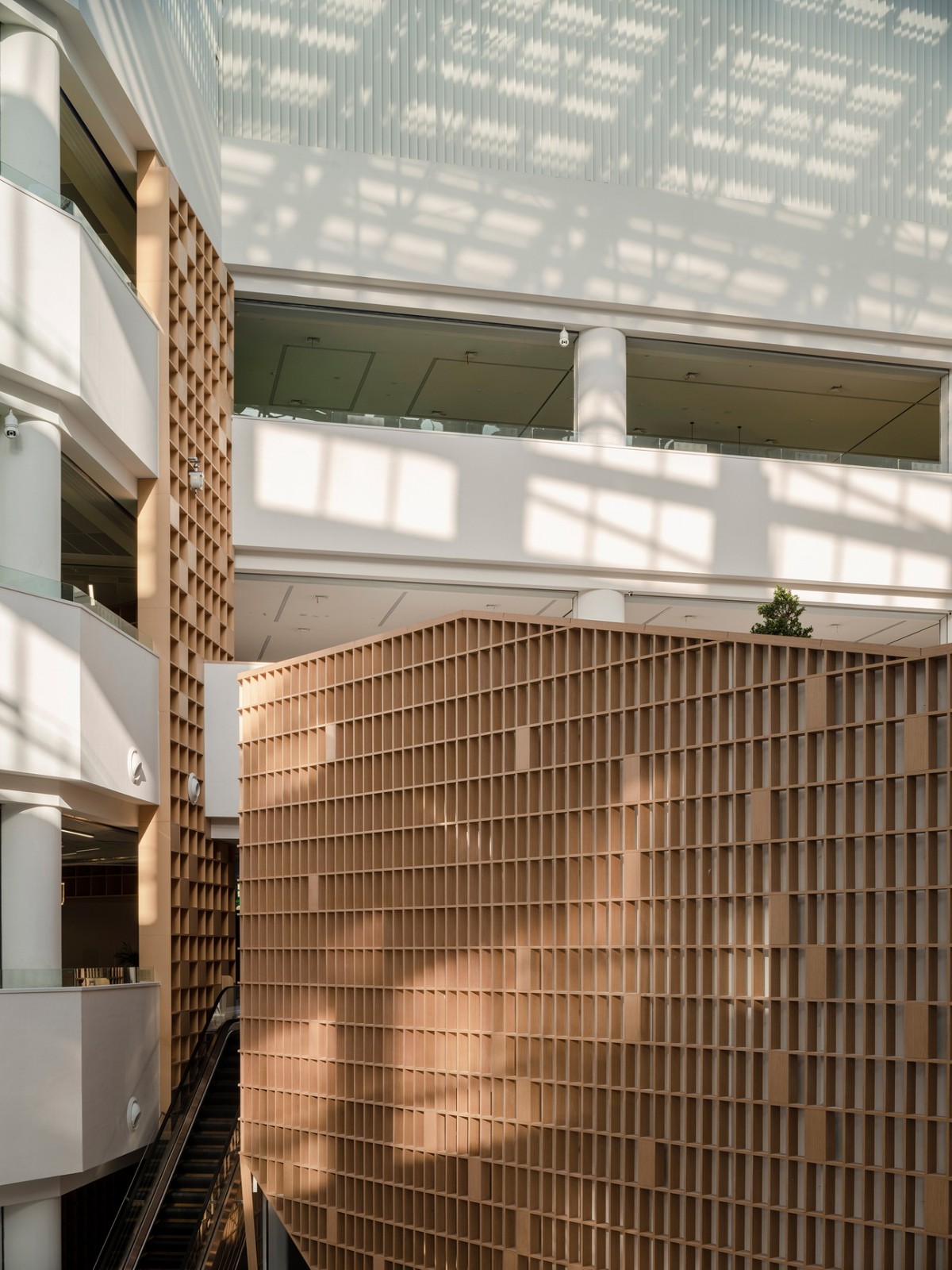 BIM建筑|张家口图书馆，创造城市的精神呼吸 / 王大泉