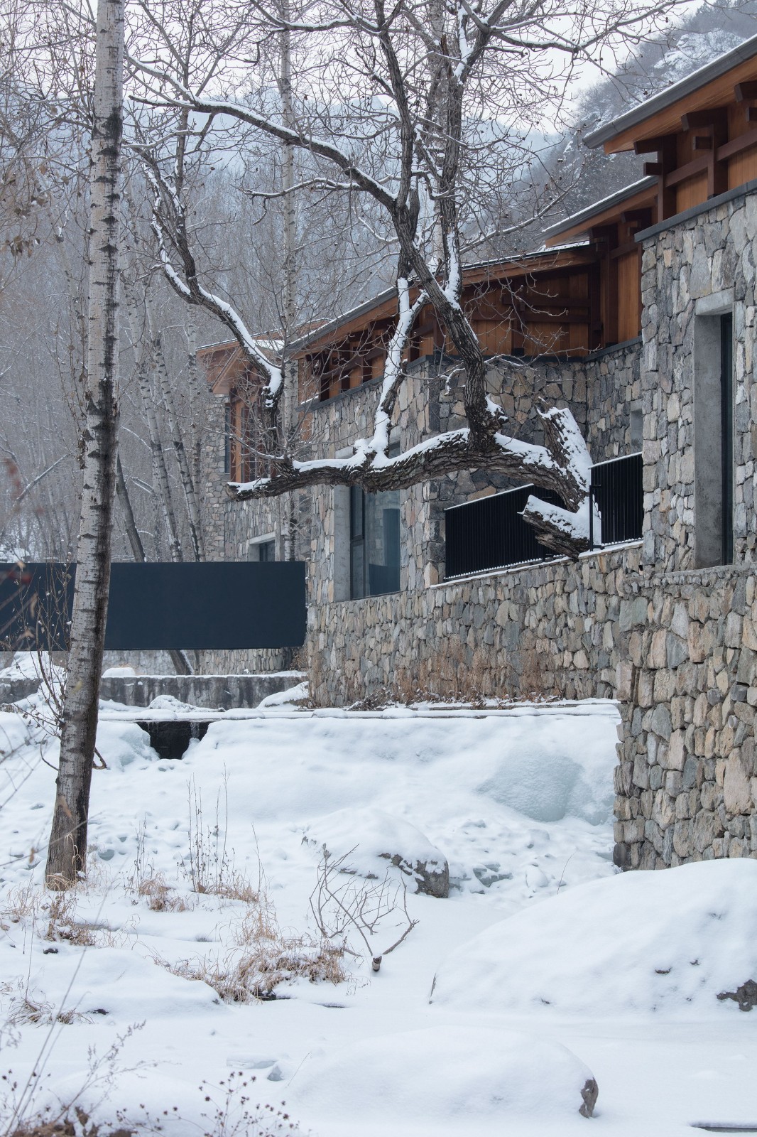 BIM建筑|隐北野奢酒店 / Penda China