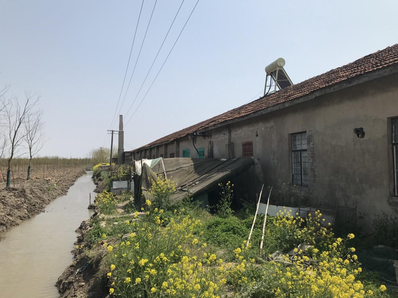 BIM建筑|凡人三部曲：黄金晒谷场 / Wutopia Lab