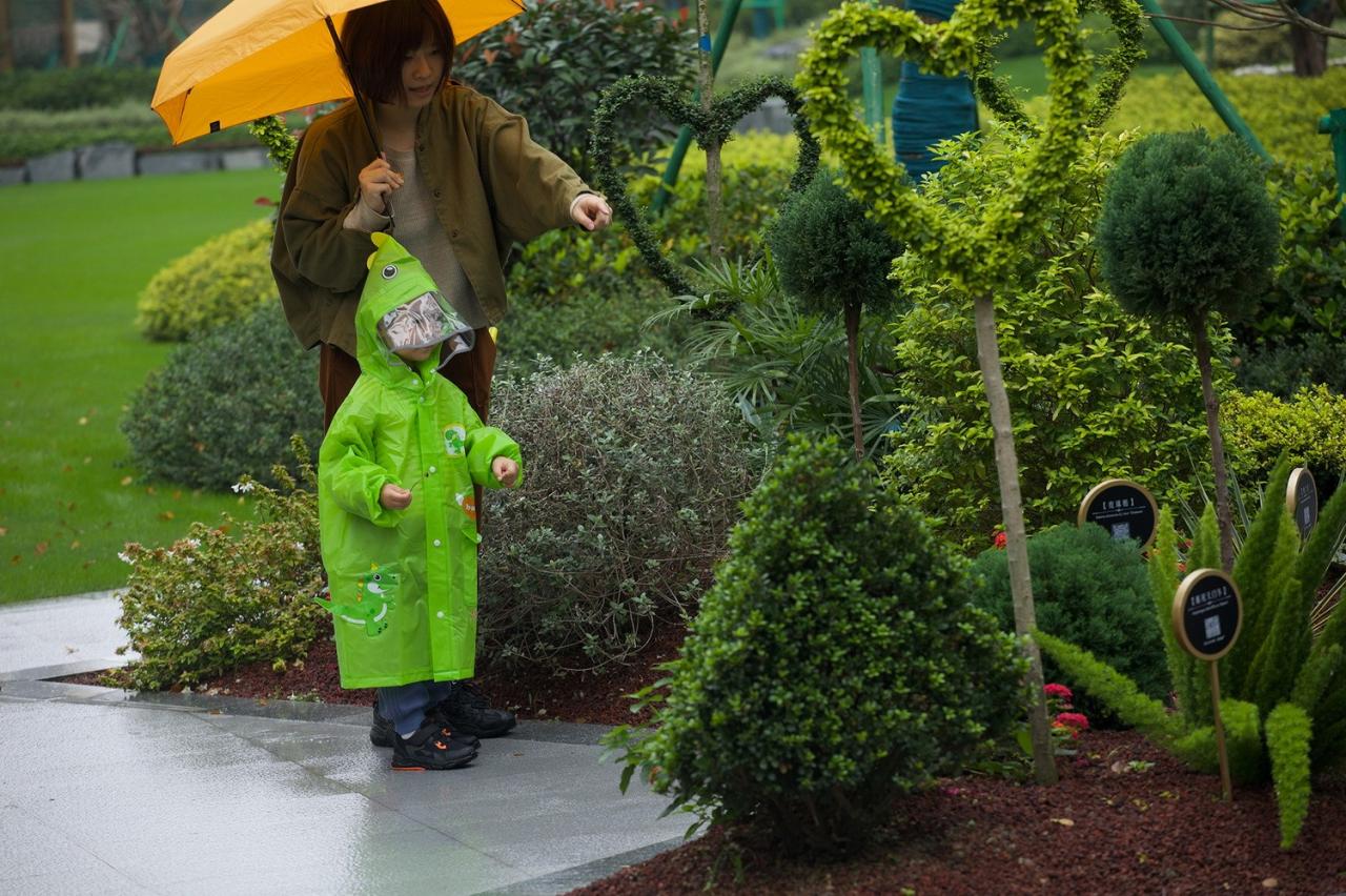 BIM建筑|城市山林 大家宅园 / ZSD卓时