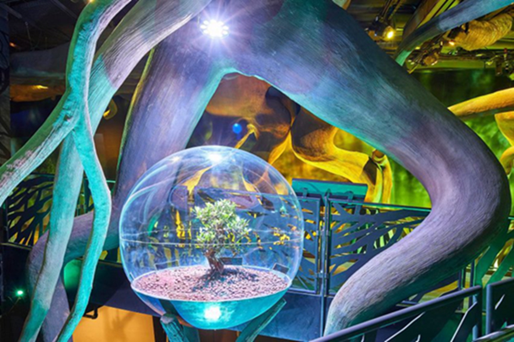 BIM建筑|格里姆肖设计迪拜世博会可持续性展馆