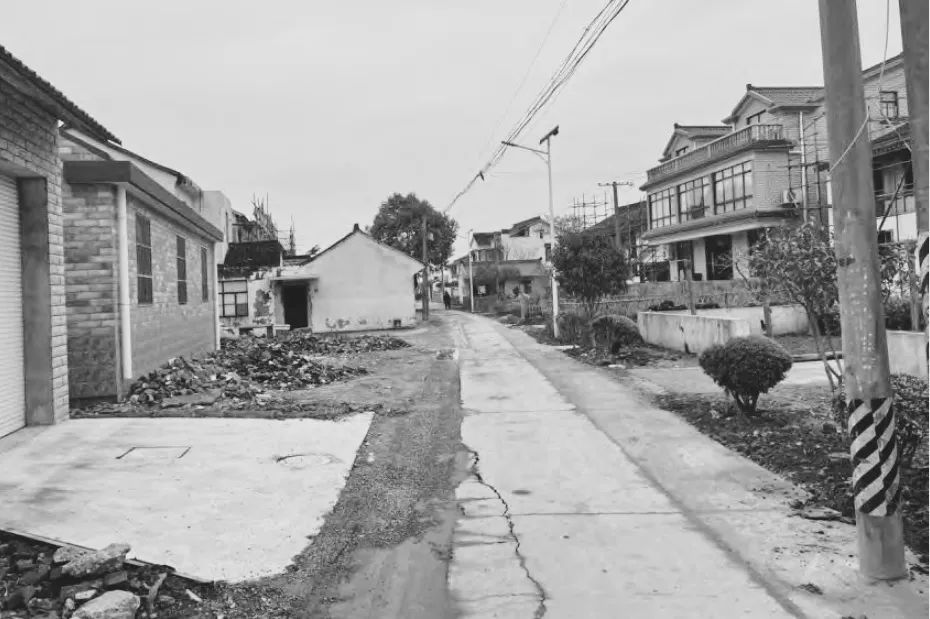 BIM建筑|低成本整村改造实践：上海奉贤李窑村乡村振兴 / 水石设计