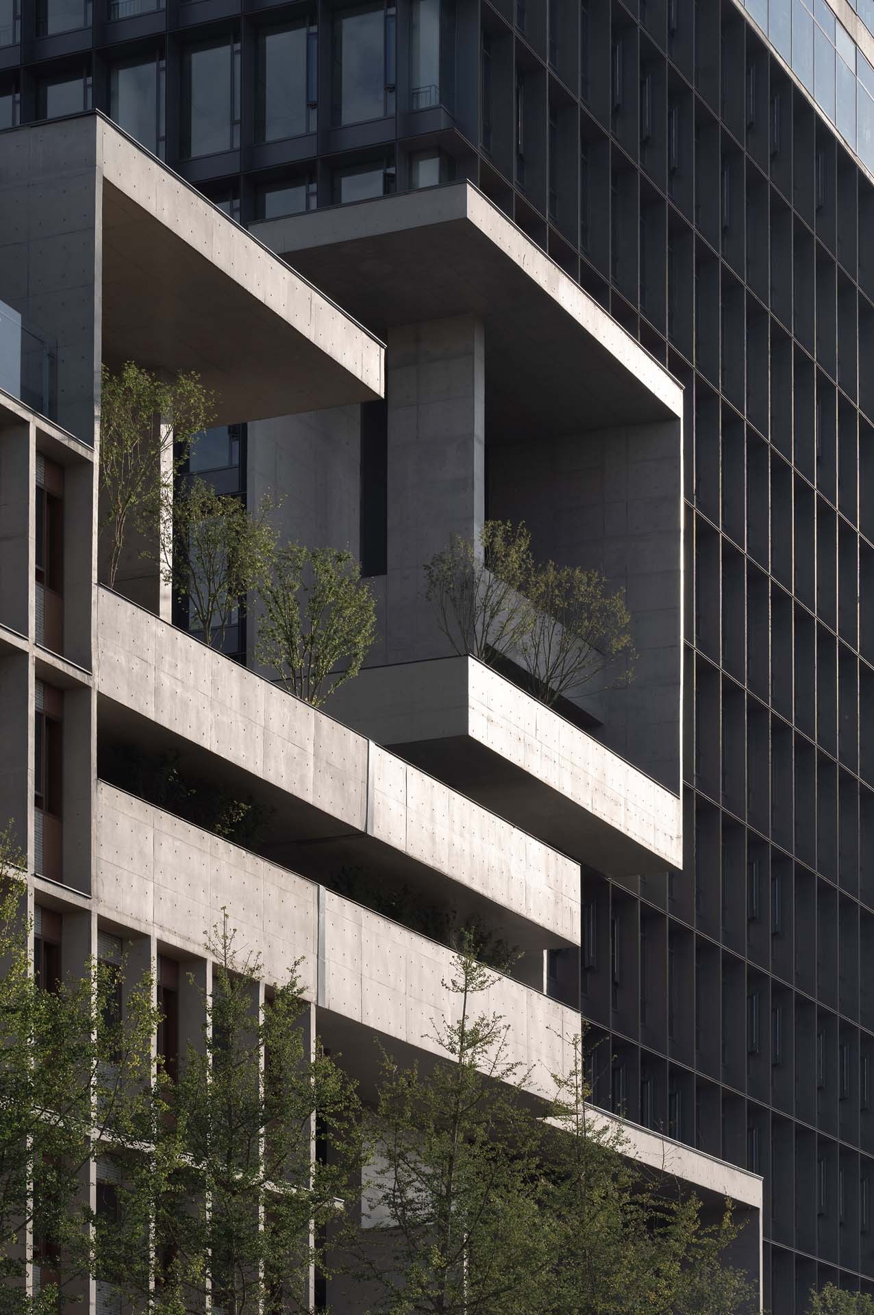 BIM建筑|成都麓湖漂浮总部办公楼 / 直向建筑