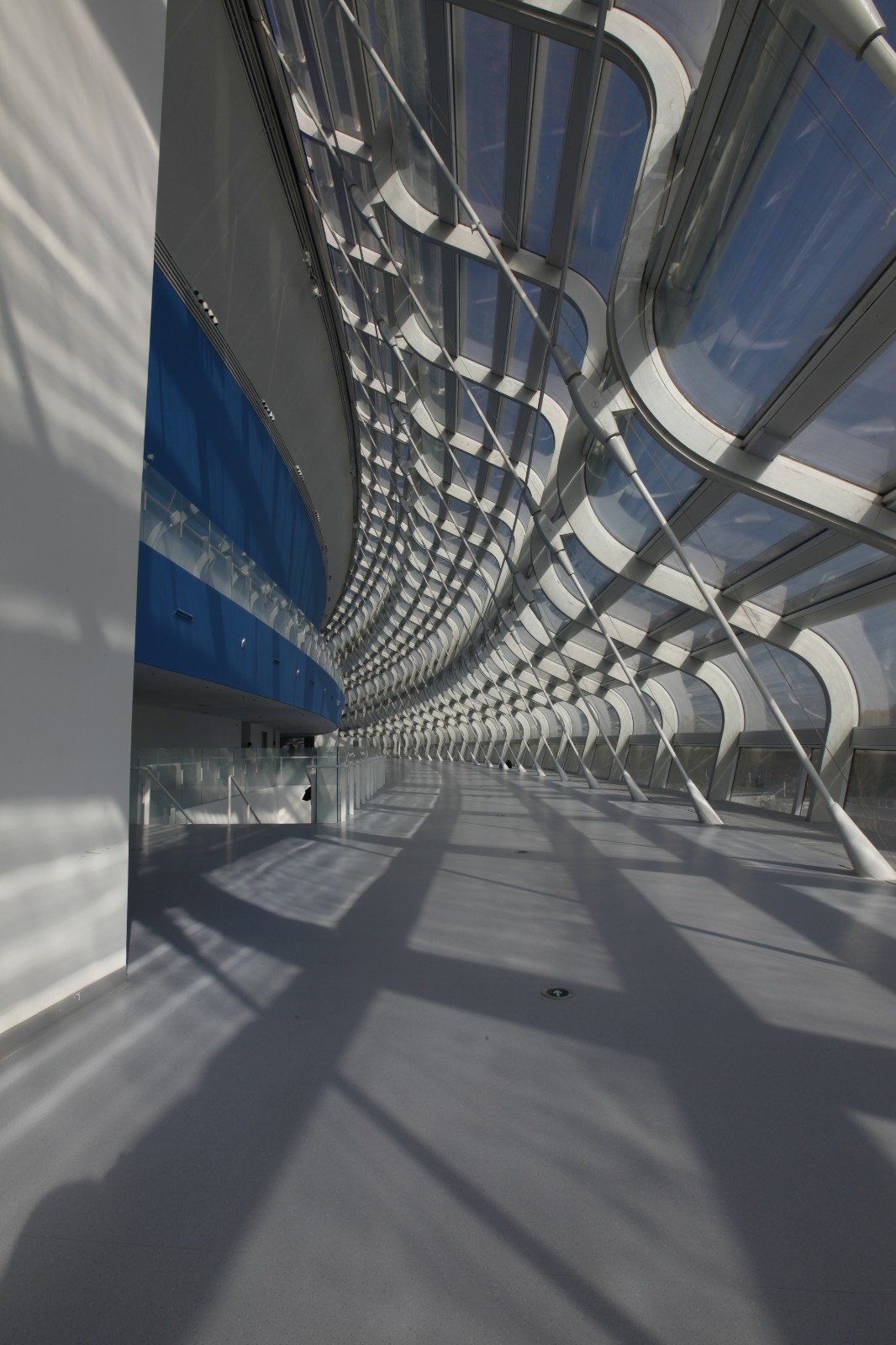 BIM建筑|“冰丝带”，国家速滑馆 / Populous