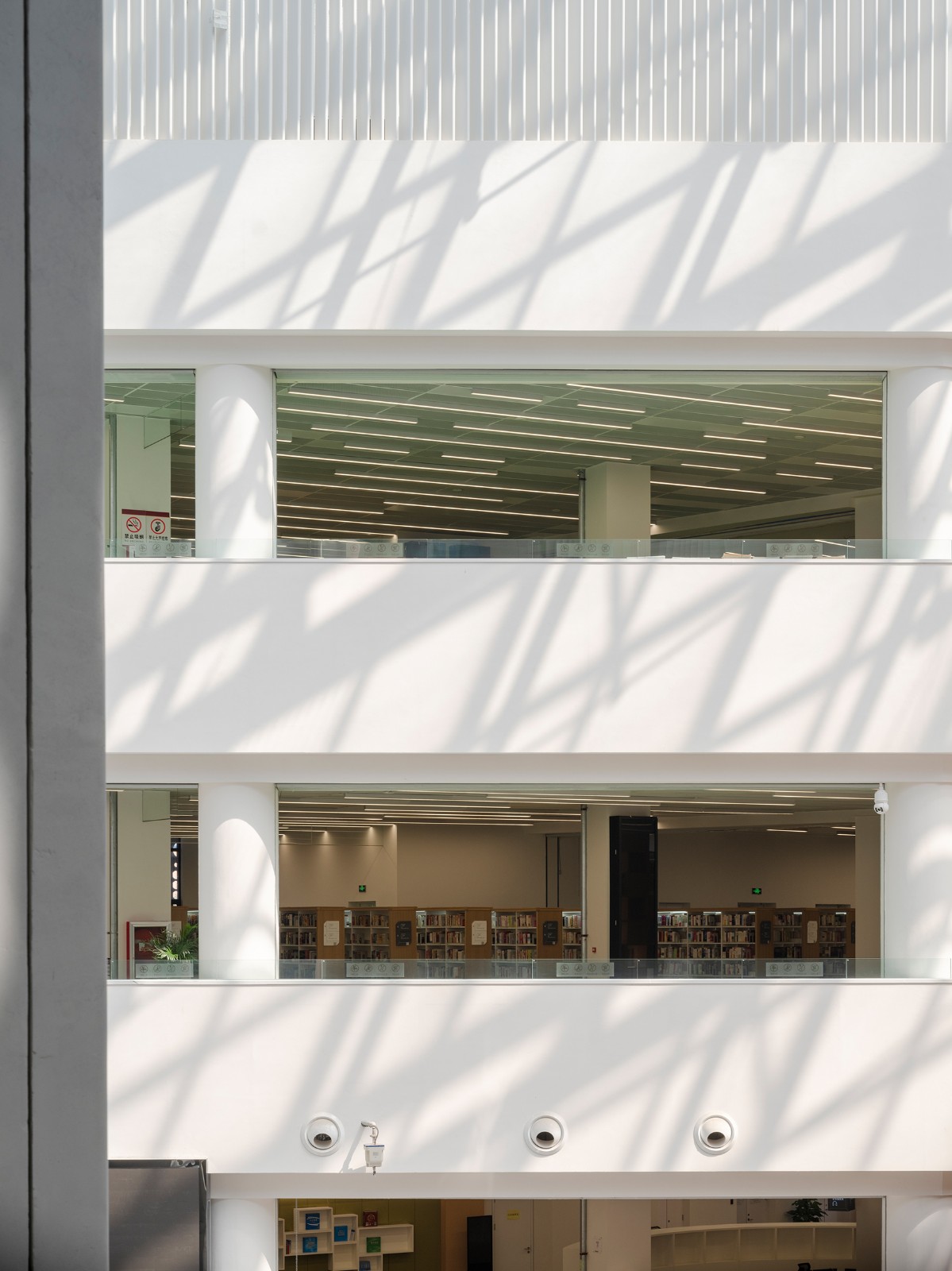 BIM建筑|张家口图书馆，创造城市的精神呼吸 / 王大泉