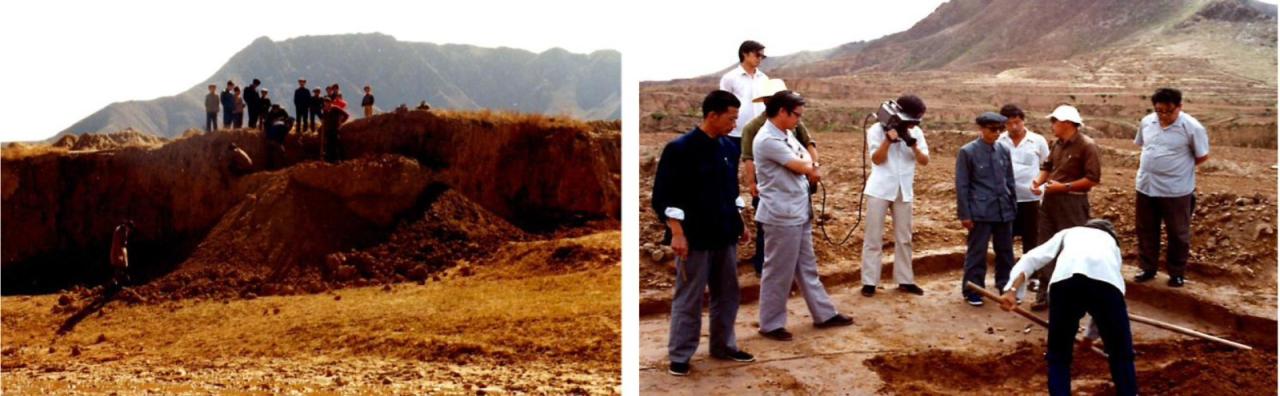 BIM建筑|张家口图书馆，创造城市的精神呼吸 / 王大泉