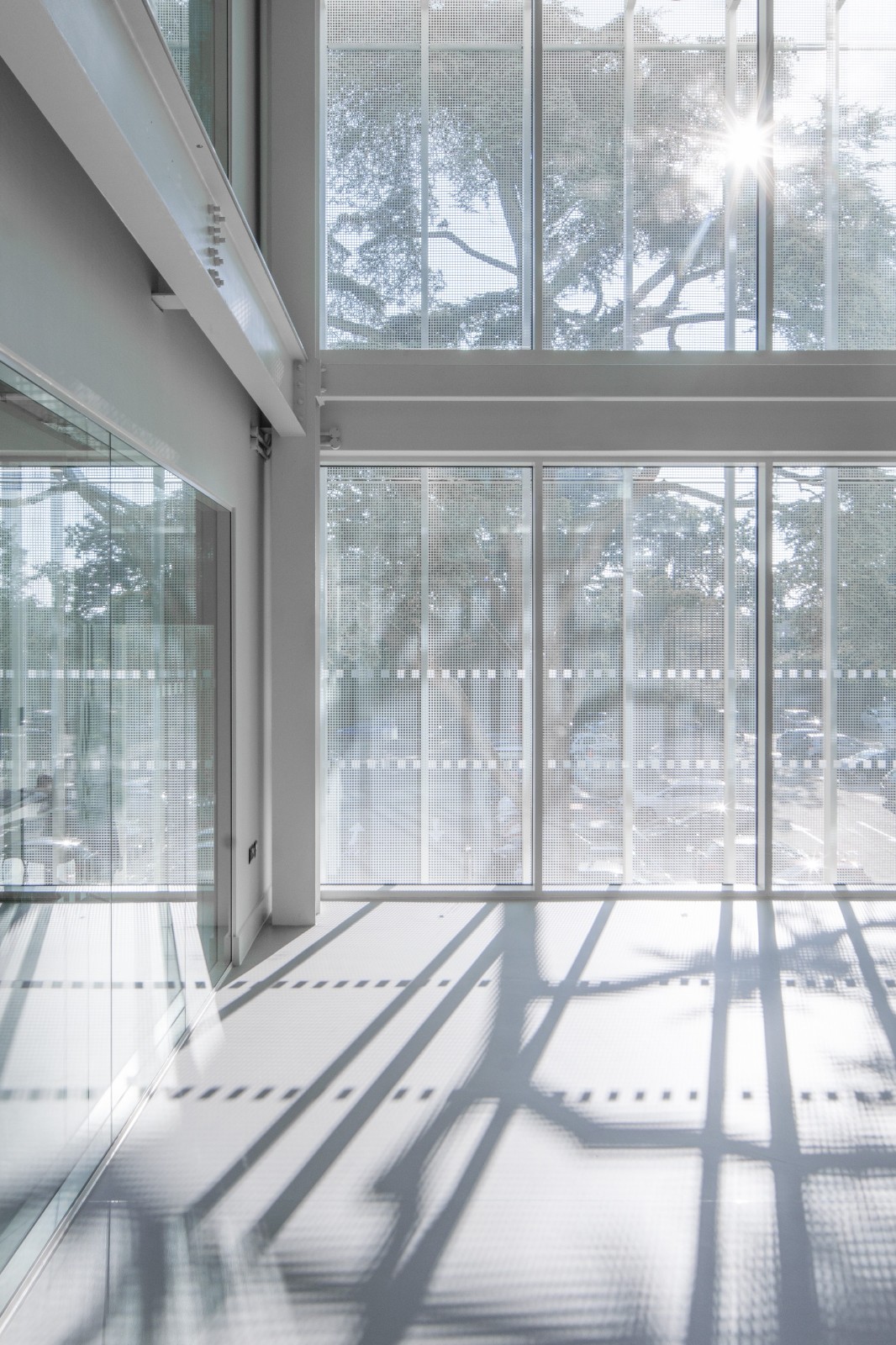 BIM建筑|诺维奇城市学院数字技术工厂 / Coffey Architects