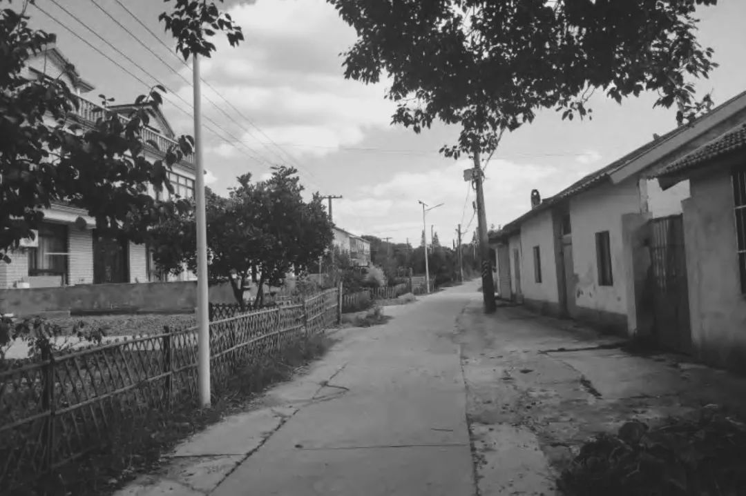 BIM建筑|低成本整村改造实践：上海奉贤李窑村乡村振兴 / 水石设计