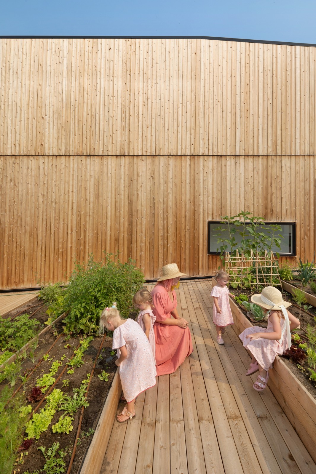 BIM建筑|GROW 住宅区 / 现代设计与建筑工作室