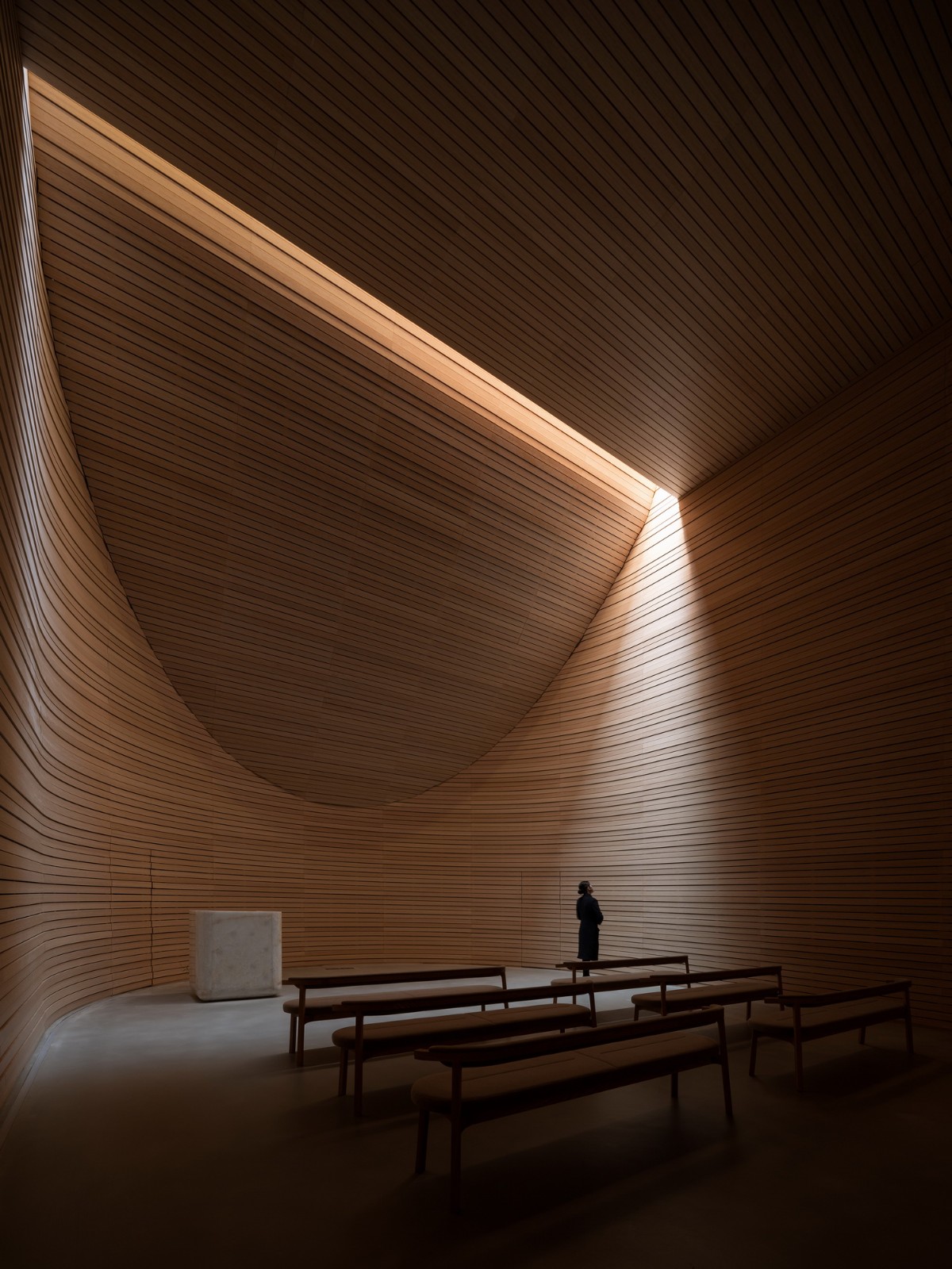 BIM建筑|花山白石美术馆 / PTA上海柏涛