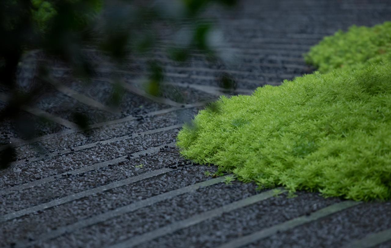 BIM建筑|城市山林 大家宅园 / ZSD卓时