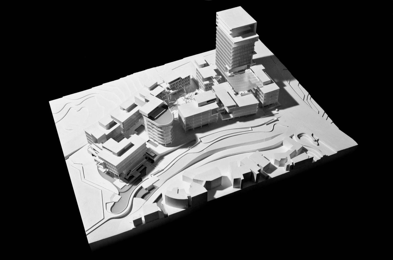 BIM建筑|成都麓湖漂浮总部办公楼 / 直向建筑