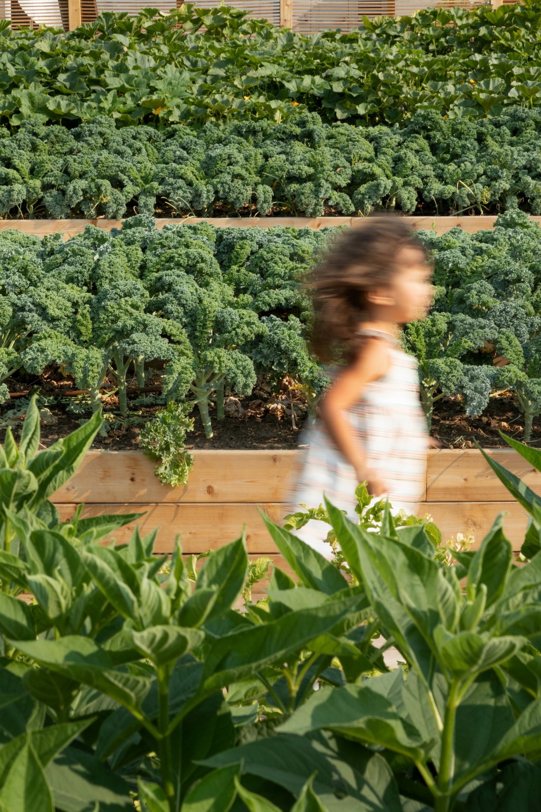 BIM建筑|GROW 住宅区 / 现代设计与建筑工作室