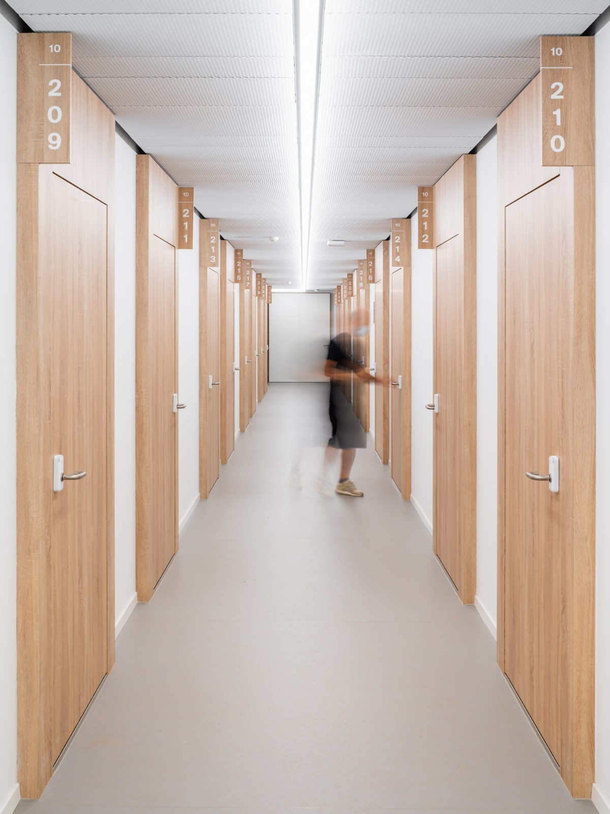 BIM建筑|莫里永学生宿舍 / 隈研吾建筑都市设计事务所 + CCHE