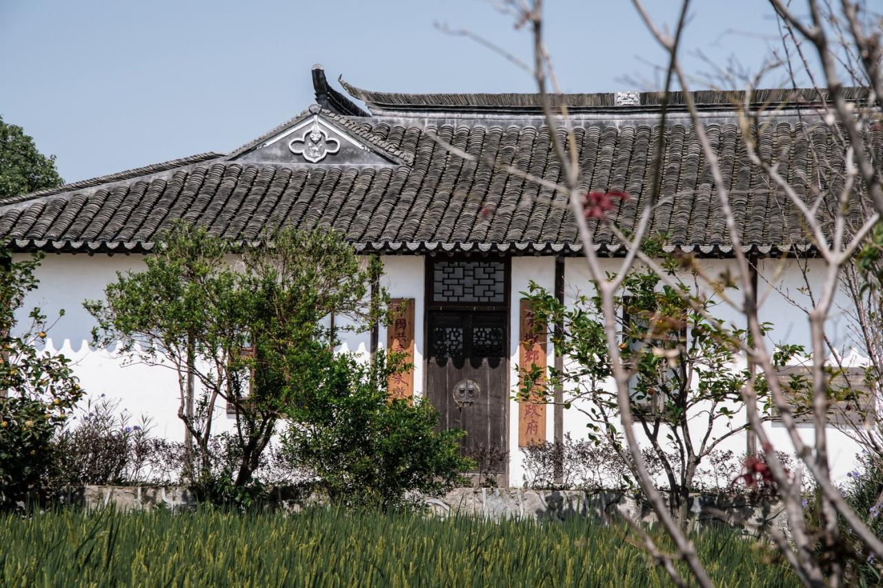 BIM建筑|低成本整村改造实践：上海奉贤李窑村乡村振兴 / 水石设计