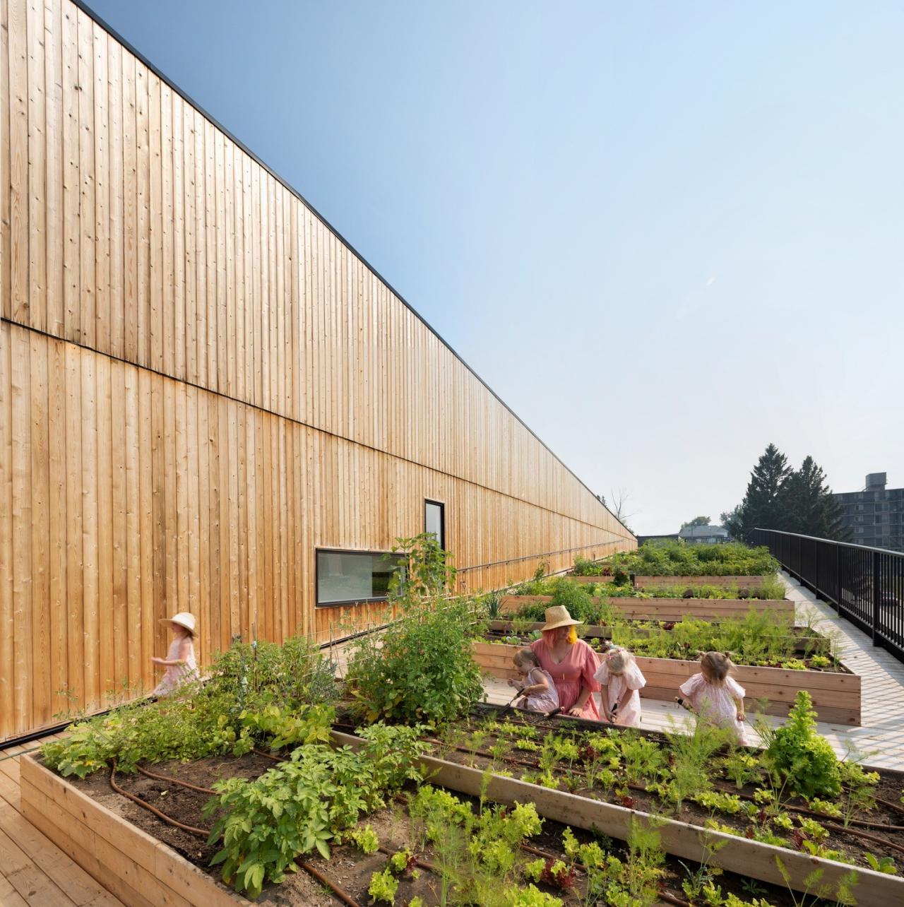 BIM建筑|GROW 住宅区 / 现代设计与建筑工作室