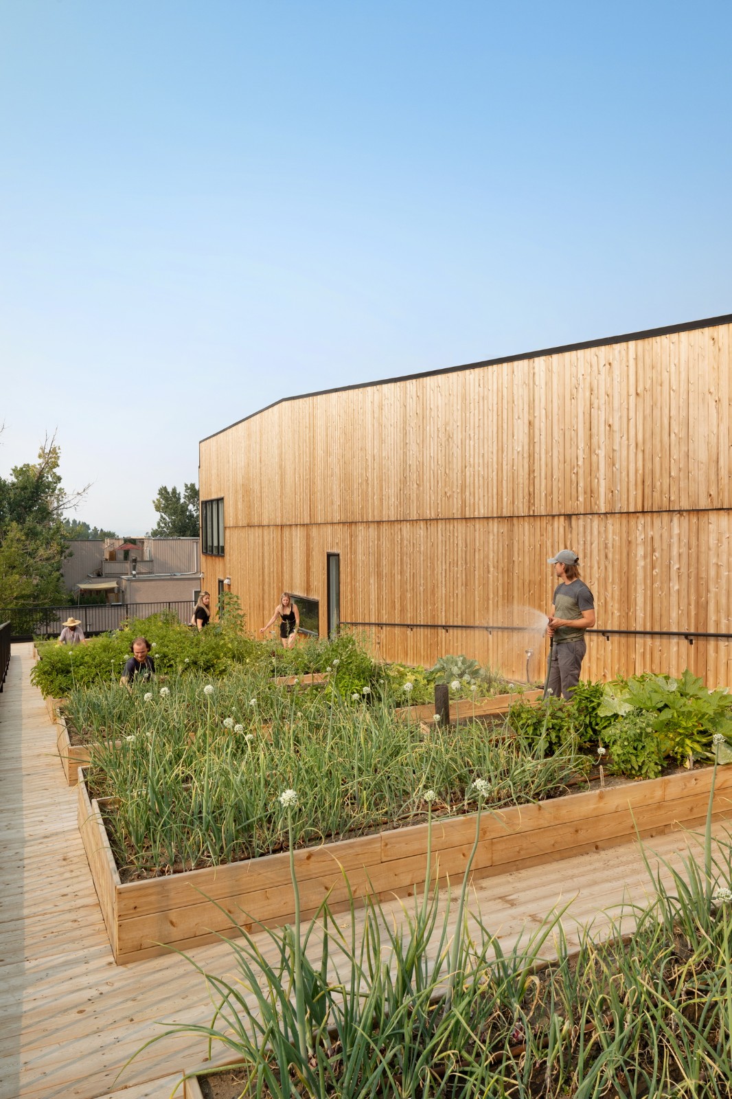 BIM建筑|GROW 住宅区 / 现代设计与建筑工作室