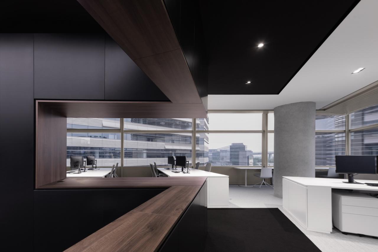 BIM建筑|设计师办公室： 黑白容器 / line+建筑事务所