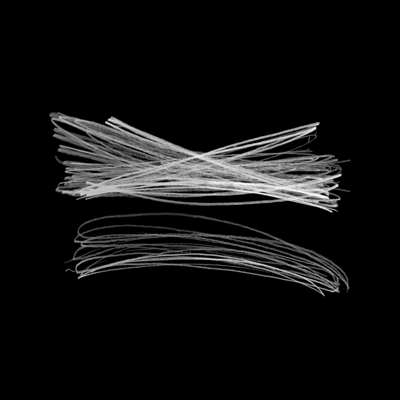 BIM建筑|“冰丝带”，国家速滑馆 / Populous