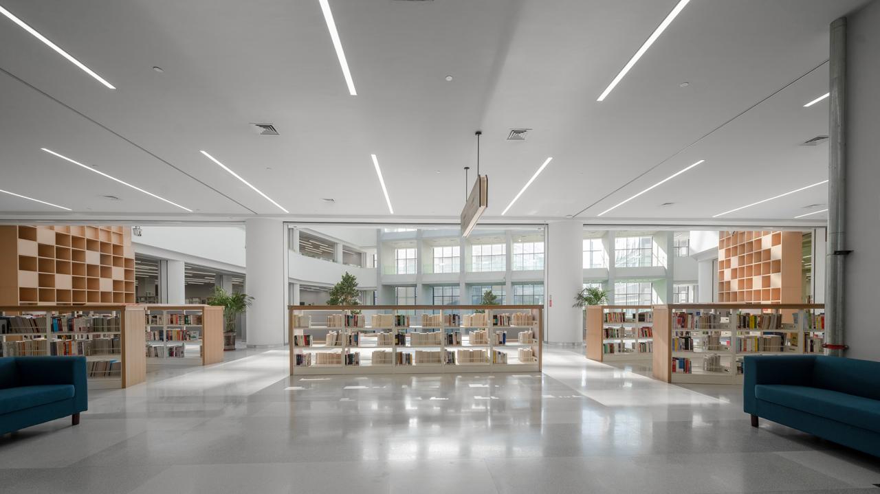 BIM建筑|张家口图书馆，创造城市的精神呼吸 / 王大泉