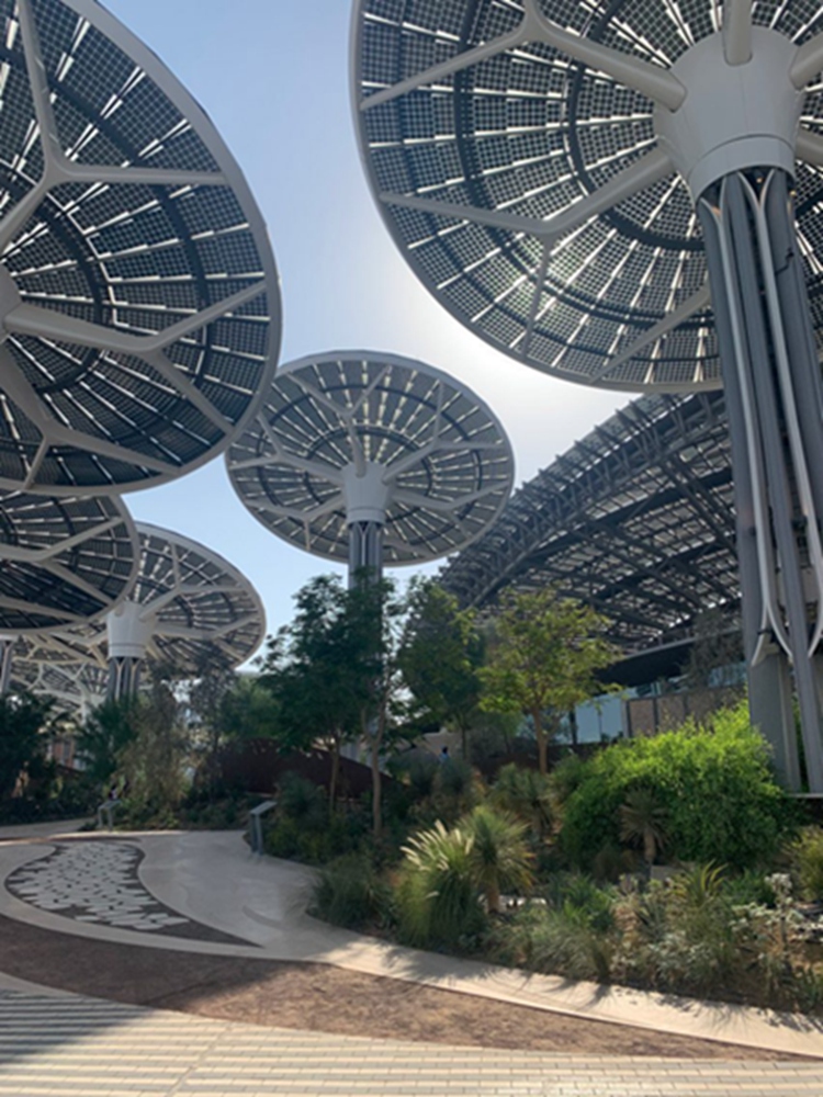 BIM建筑|格里姆肖设计迪拜世博会可持续性展馆