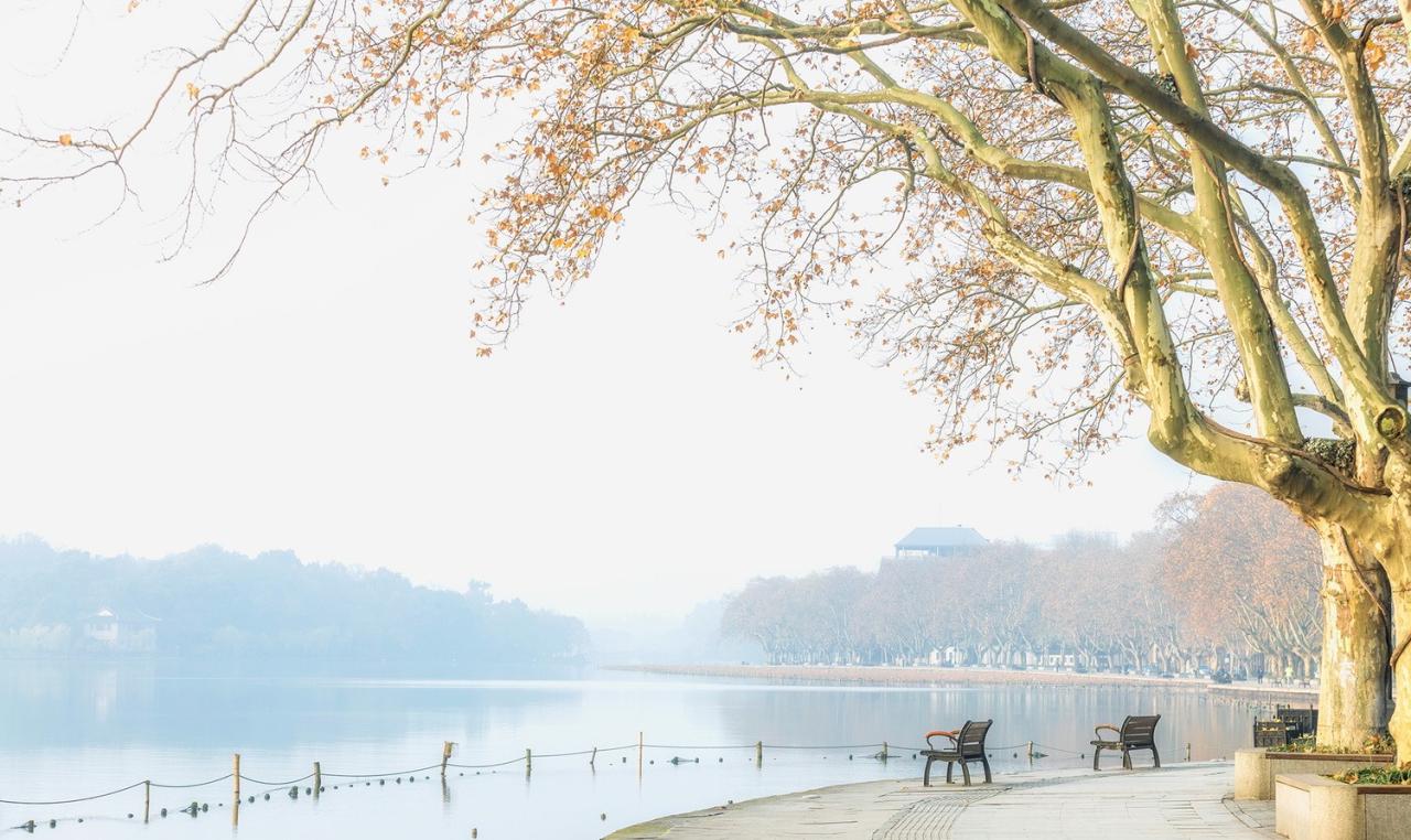 BIM建筑|城市山林 大家宅园 / ZSD卓时