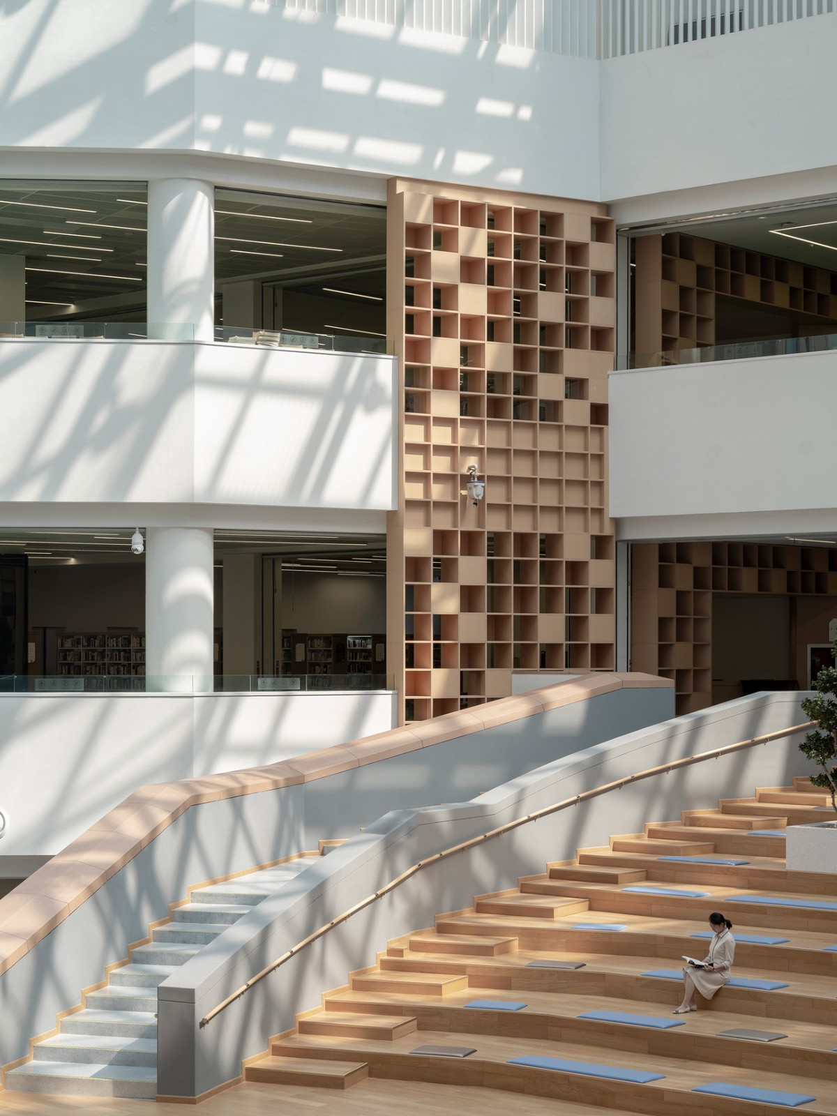 BIM建筑|张家口图书馆，创造城市的精神呼吸 / 王大泉