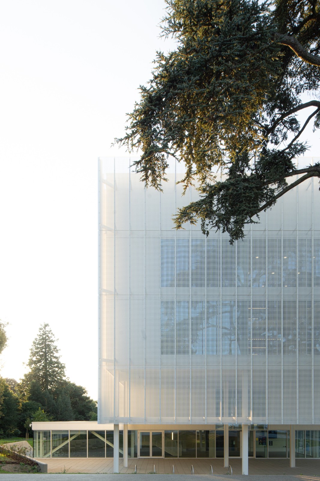 BIM建筑|诺维奇城市学院数字技术工厂 / Coffey Architects