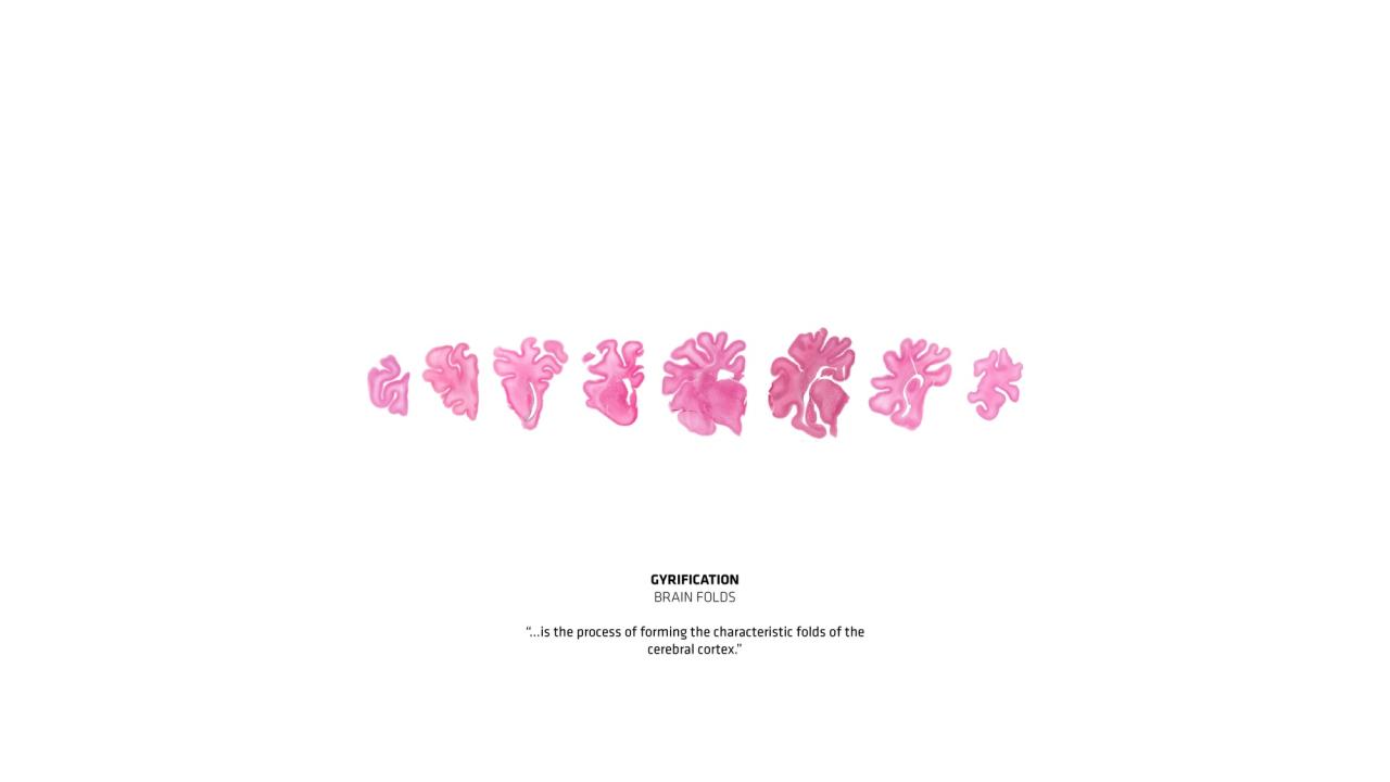 BIM建筑|建筑促进多学科协同：丹麦神经科学中心方案 / BIG