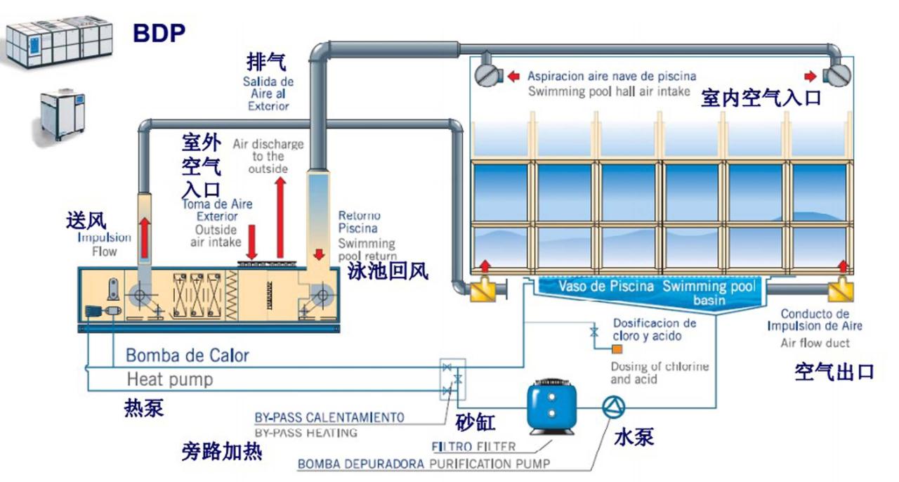 BIM建筑|深圳市龙华区行知中学 / 筑博设计-联合公设