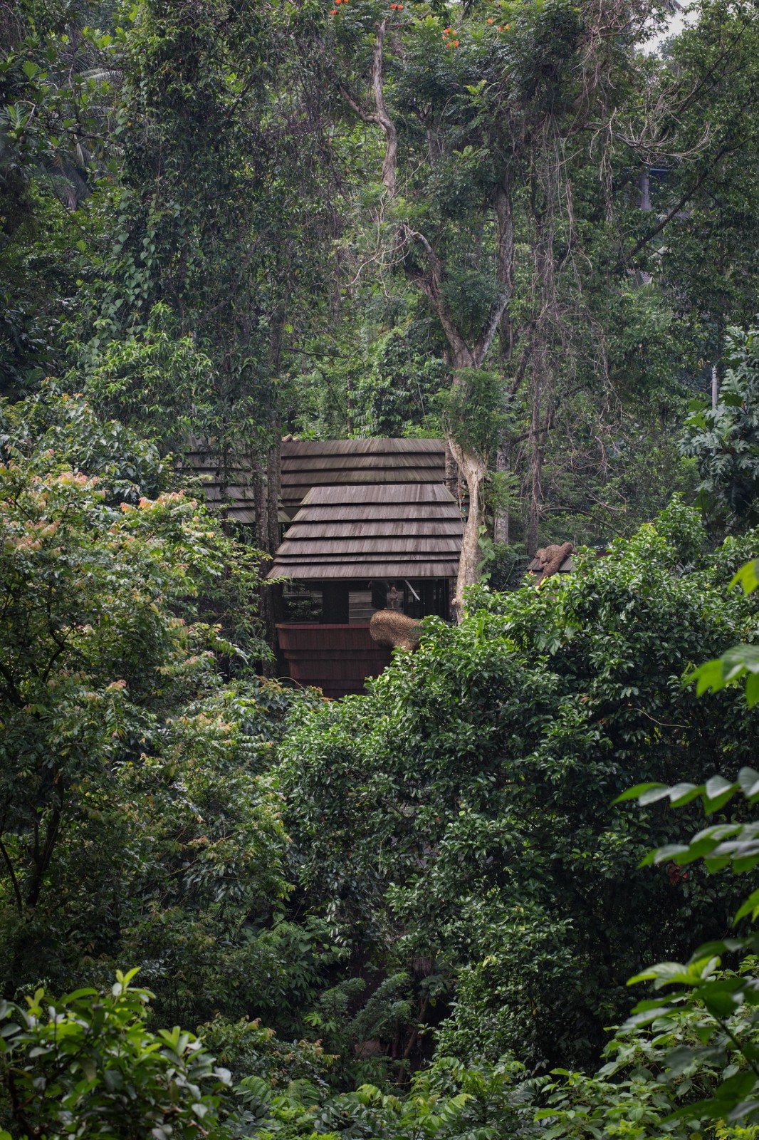 BIM建筑|WYAH 艺术与创意空间 / PARISAULI ARSITEK STUDIO