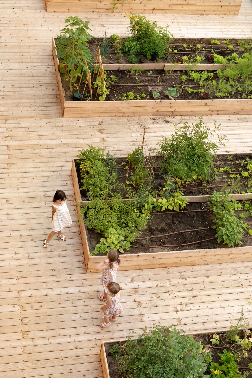 BIM建筑|GROW 住宅区 / 现代设计与建筑工作室