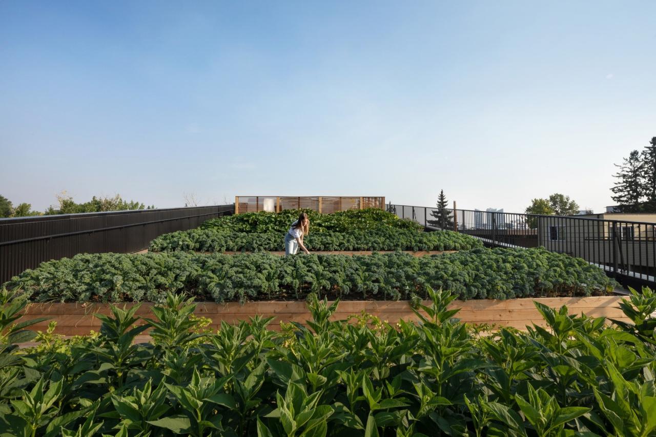 BIM建筑|GROW 住宅区 / 现代设计与建筑工作室