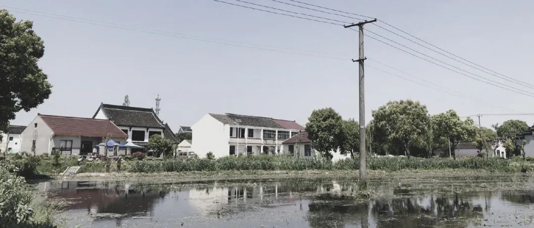 BIM建筑|低成本整村改造实践：上海奉贤李窑村乡村振兴 / 水石设计