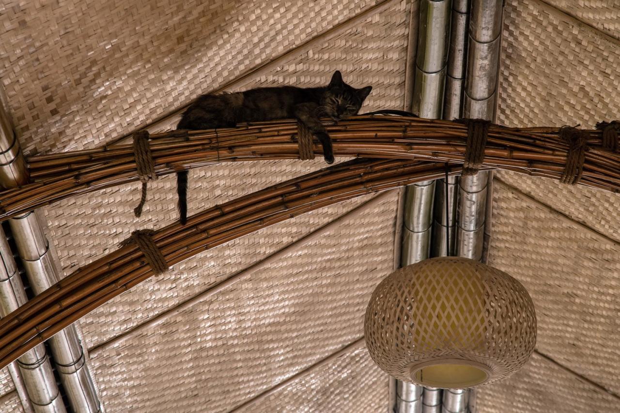 BIM建筑|低成本整村改造实践：上海奉贤李窑村乡村振兴 / 水石设计