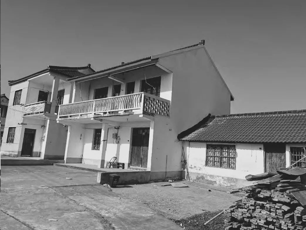 BIM建筑|低成本整村改造实践：上海奉贤李窑村乡村振兴 / 水石设计