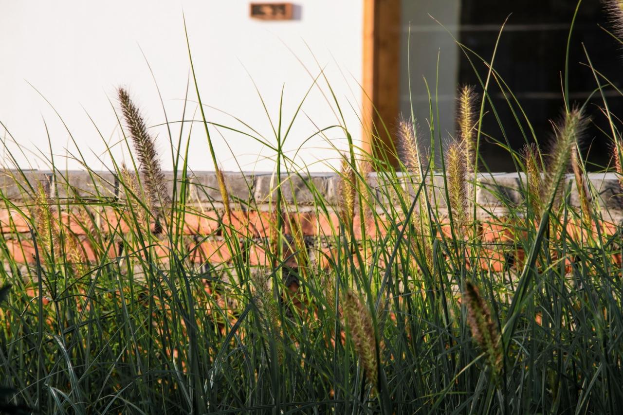 BIM建筑|低成本整村改造实践：上海奉贤李窑村乡村振兴 / 水石设计