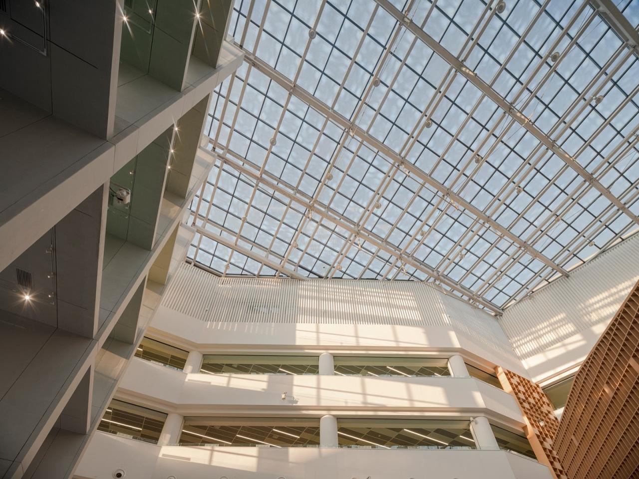 BIM建筑|张家口图书馆，创造城市的精神呼吸 / 王大泉