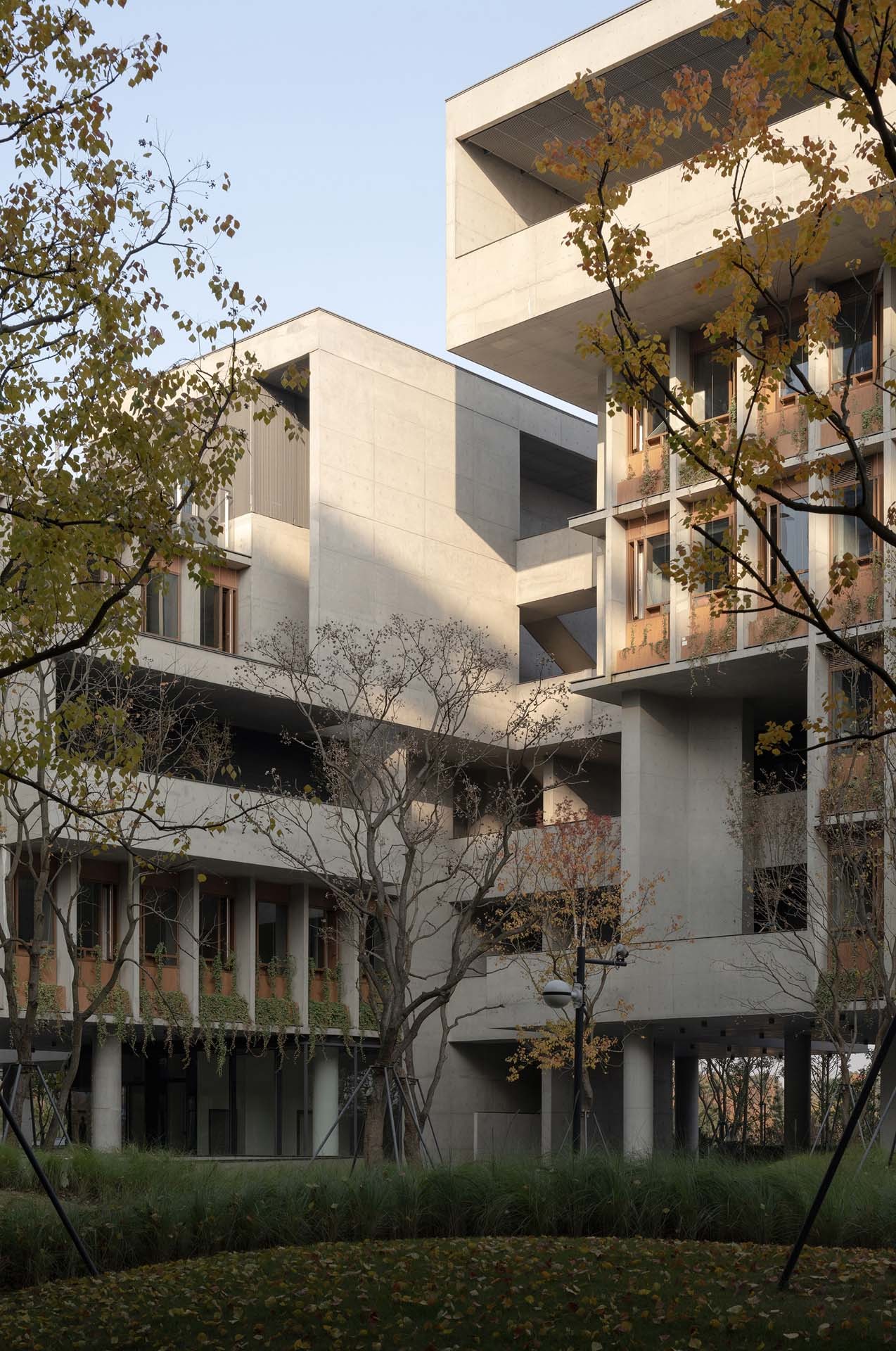 BIM建筑|成都麓湖漂浮总部办公楼 / 直向建筑