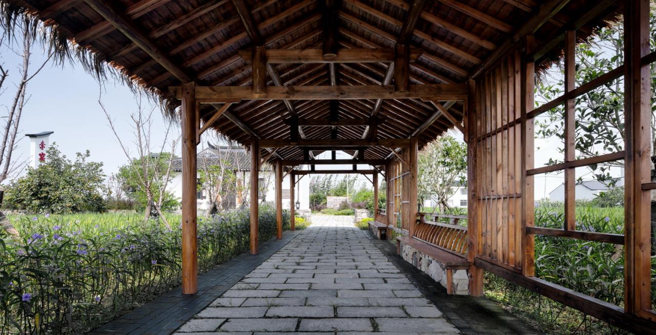 BIM建筑|低成本整村改造实践：上海奉贤李窑村乡村振兴 / 水石设计