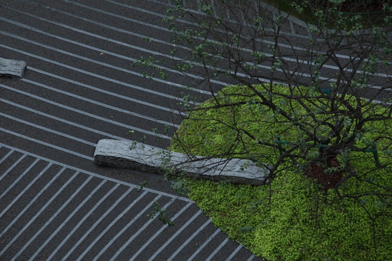 BIM建筑|城市山林 大家宅园 / ZSD卓时