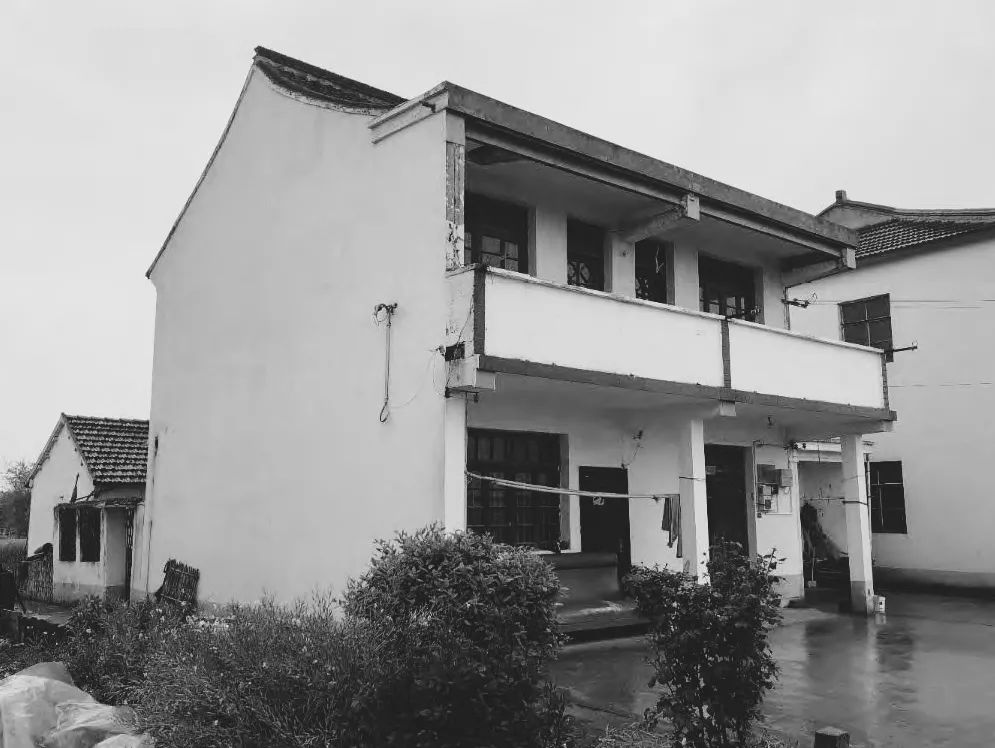 BIM建筑|低成本整村改造实践：上海奉贤李窑村乡村振兴 / 水石设计