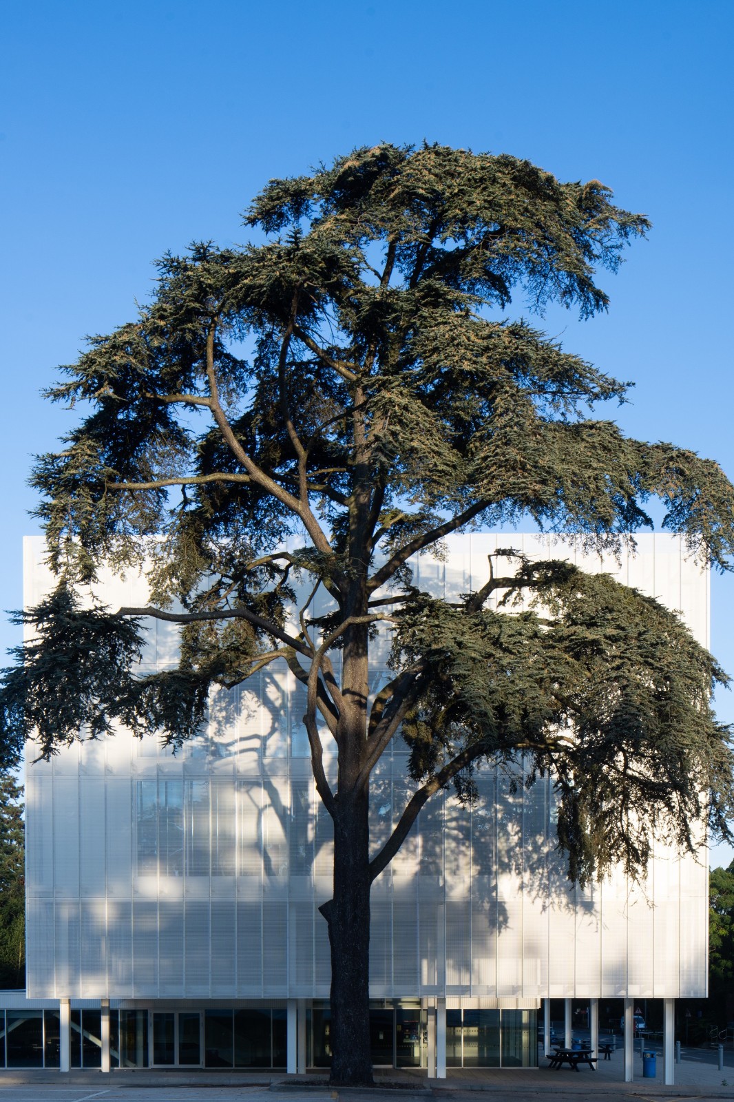 BIM建筑|诺维奇城市学院数字技术工厂 / Coffey Architects