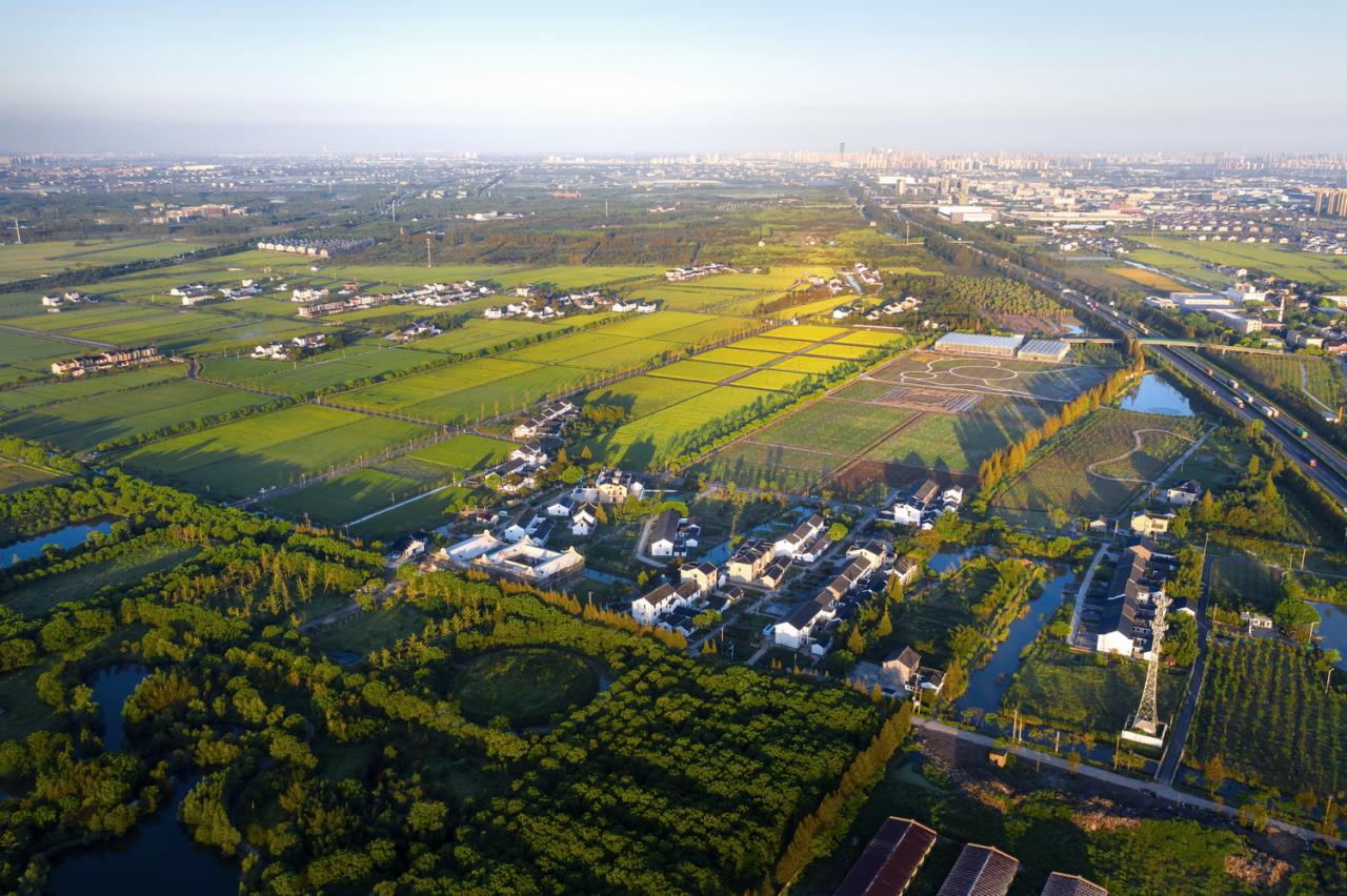 BIM建筑|低成本整村改造实践：上海奉贤李窑村乡村振兴 / 水石设计