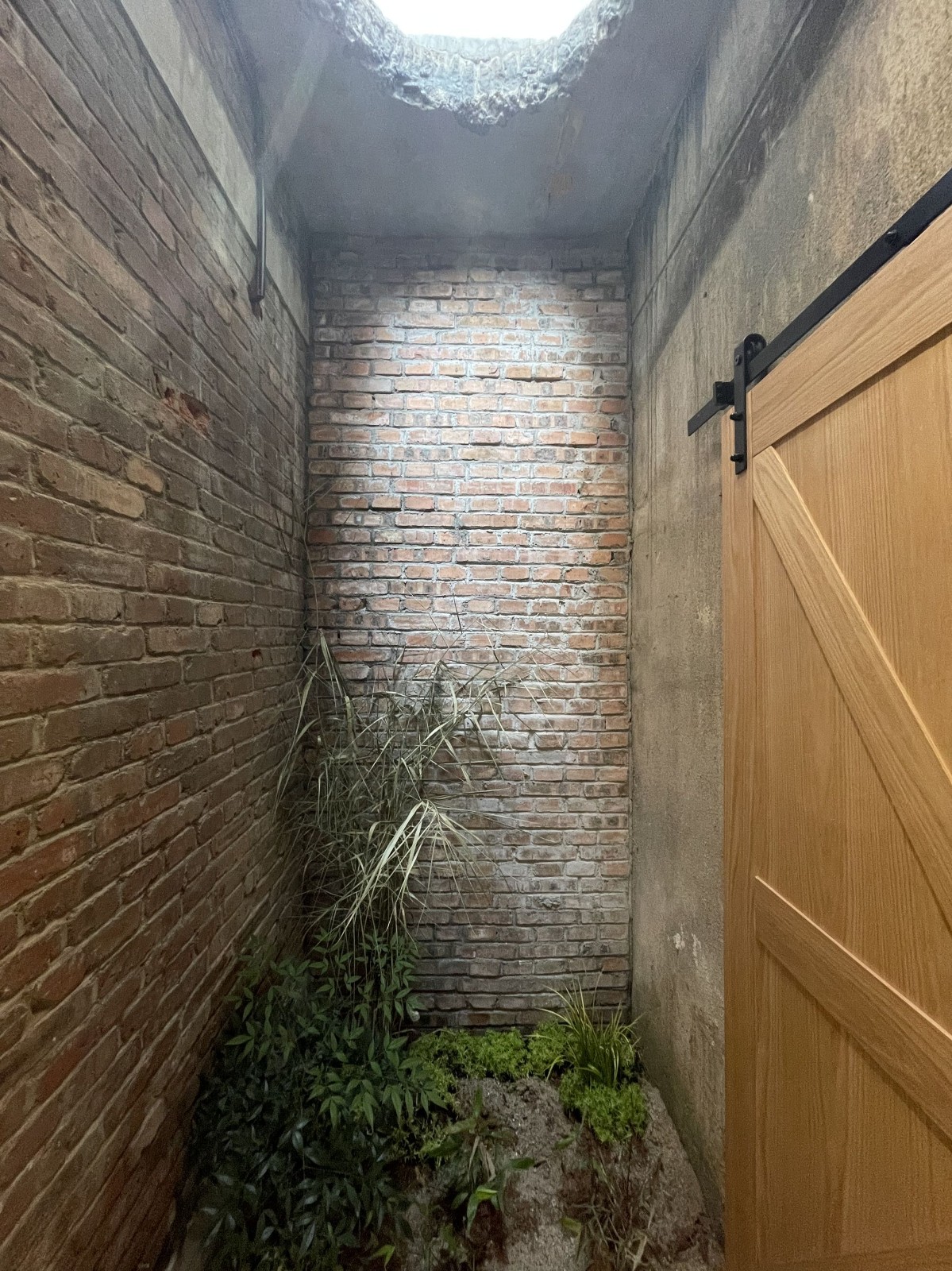 BIM建筑|龙游溪口镇乡村未来社区多功能体育馆+陶瓷专家工作站改造 / 上海严旸建筑设计工作室