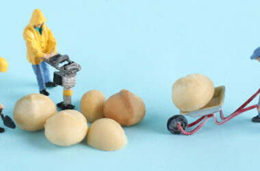 BIM技巧|Revit中心文件协同模式怎么样？Revit中心文件协同模式的优缺点-BIM建筑网