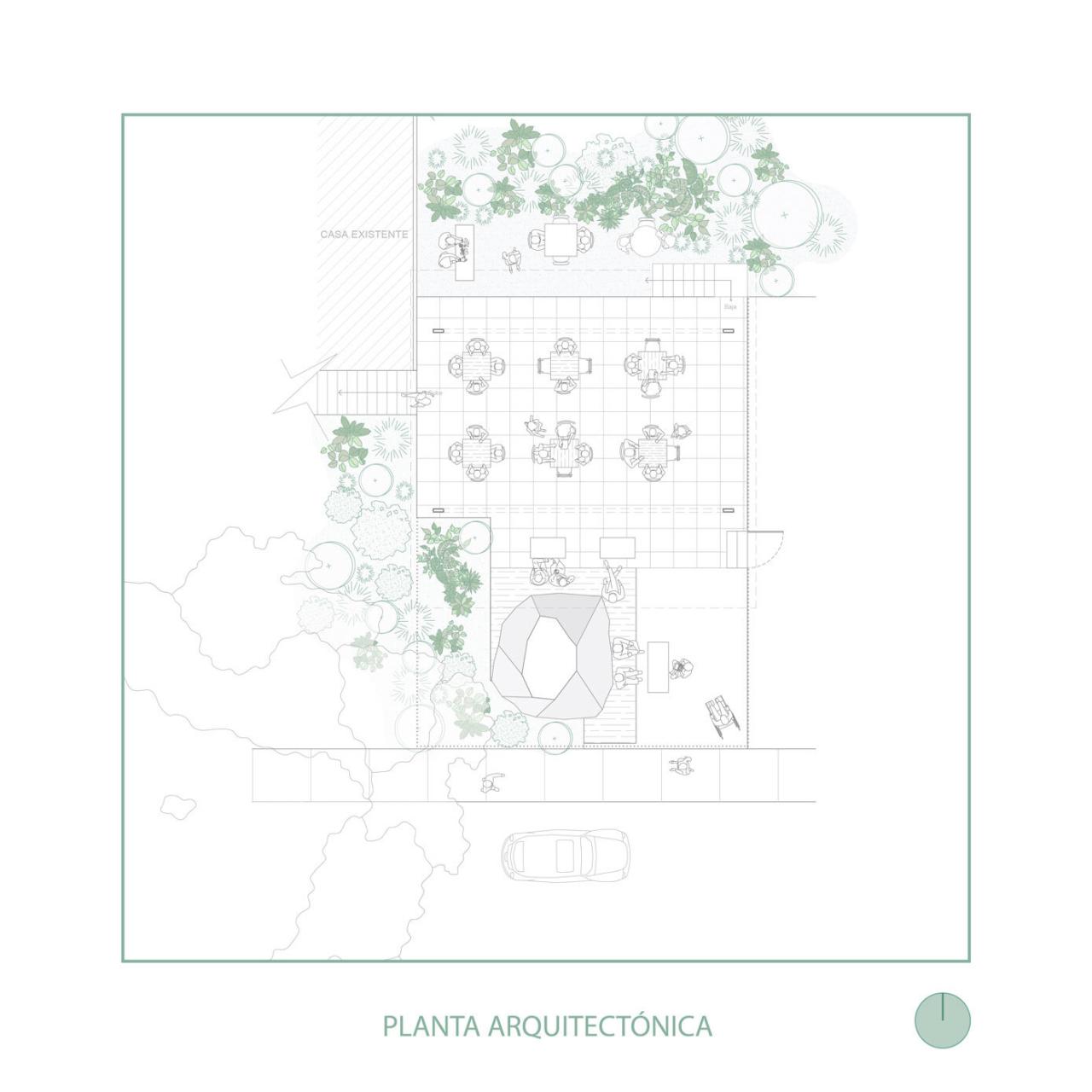 BIM建筑|村口榕树下，社区公共空间 Ficus Alto / Natura Futura Arquitectura