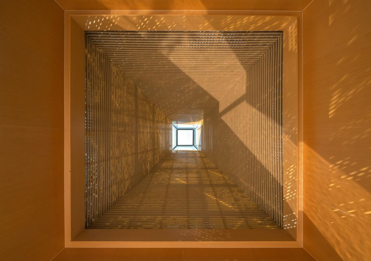 BIM建筑|水杉林餐厅：水边的风景 / goa作品