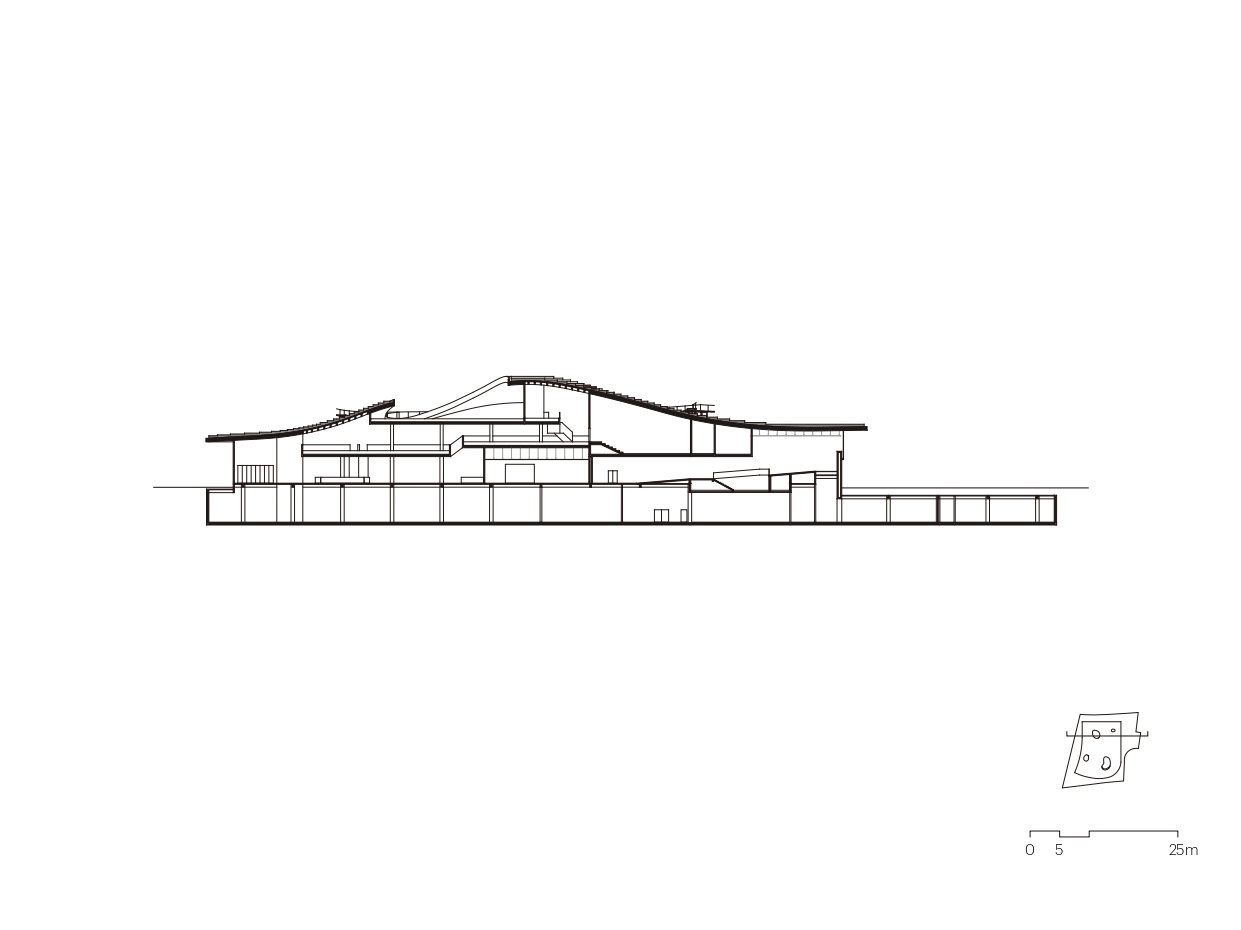 BIM建筑|琴台美术馆 / 大舍建筑设计事务所