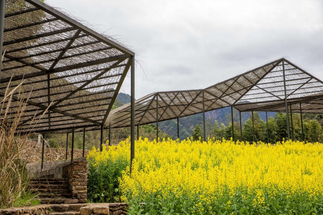 BIM建筑|青龙坞流云廊 / 藤本壮介事务所